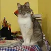 Отзыв от Юлия Матвеева